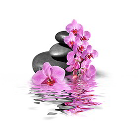 freisteller_steine-blueten-wasser__v2_280x267